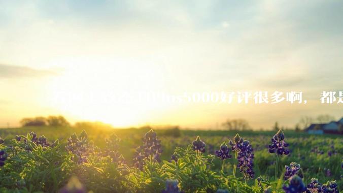 看网上致态TiPlus5000好评很多啊，都是真的吗？