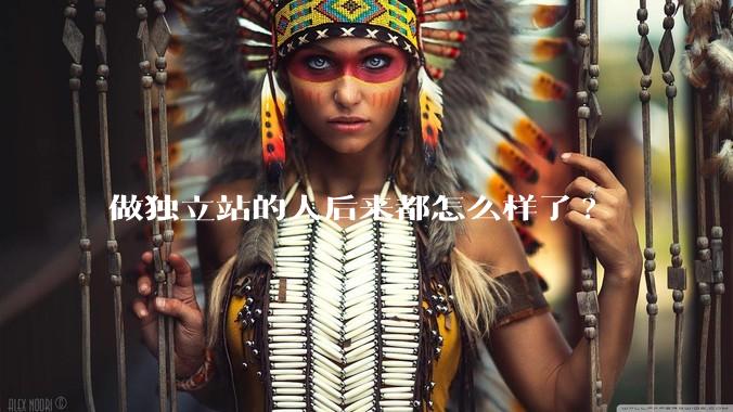 做独立站的人后来都怎么样了?